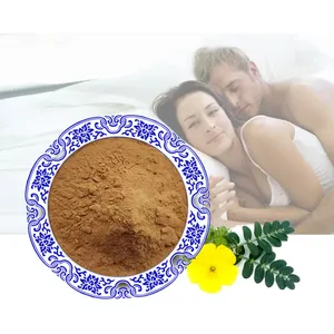Oem private label tribulus terrestre estratto 45 puro naturale tribulus terrestre estratto in polvere - Product Image 1