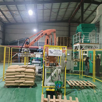 Ligne d'emballage pour le riz, les haricots, les aliments pour animaux, les grains de riz, robot palettiseur automatique, machine de palettisation, machine d'emballage et de palettisation