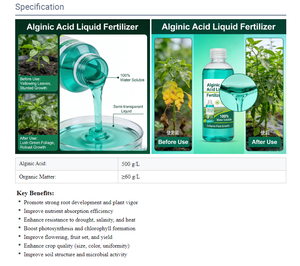 Fertilizante de Algas con Ácido Algínico y Clorofila en Spray <span class=keywords><strong>Foliar</strong></span> <span class=keywords><strong>para</strong></span> Árboles <span class=keywords><strong>Frutales</strong></span> y Flores, Protección Anti-Caída y <span class=keywords><strong>para</strong></span> el Crecimiento - Product Image 3