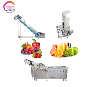 Máquina exprimidora de jengibre industrial Línea de producción automática de jugo de lavado de manzana
