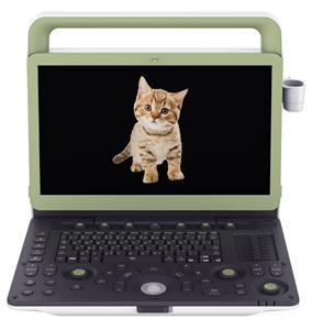 Médico 3D 4d Color <span class=keywords><strong>Doopler</strong></span> 3D Portátil Full Digital Color Cardiaco Doppler Escáner de ultrasonido - Product Image 1