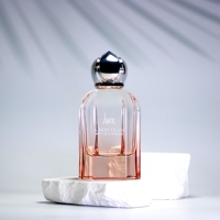 Certification de qualité, flacon de parfum en verre unique, anti-fuite, 100 ml, emballage de luxe personnalisé pour flacon de parfum, impression à l'écran