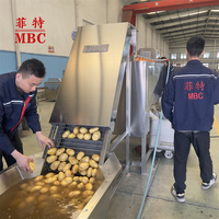 Op maat gemaakte industriële frietmachines van roestvrij staal 304, productielijn voor gebakken aardappelchips en snacks