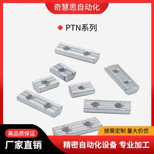 Perfil de Aluminio en T, Tira de Tuercas Rectangulares PTN-M5, Orificio Simple, Orificio Doble, Accesorios para Plantillas Robóticas - Product Image 5