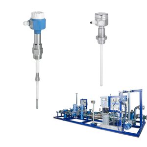 เครื่องวัดการไหลแบบคาปาซิทีฟ Endress+Hauser Liquicap FTI51 รองรับการปรับแต่ง OEM สำหรับการใช้งานแบบ Skid-Mount ในประเทศจีน ระดับจุดวัด F - Product Image 4