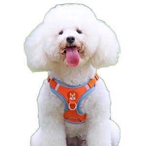 Set di Guinzaglio e Pettorina di Lusso per Cani, Senza Trazione, Regolabile, Imbottito in Poliestere, con Clip Riflettenti per Razze Piccole - Product Image 5