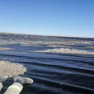 0.25mm 0.5mm 1.0mm 1.5mm 20mil/30mil /45mil/60mil/Dam Geomembrane HDPEポンドライナーインドネシア/シンガポール/フィリピン - Product Image 3
