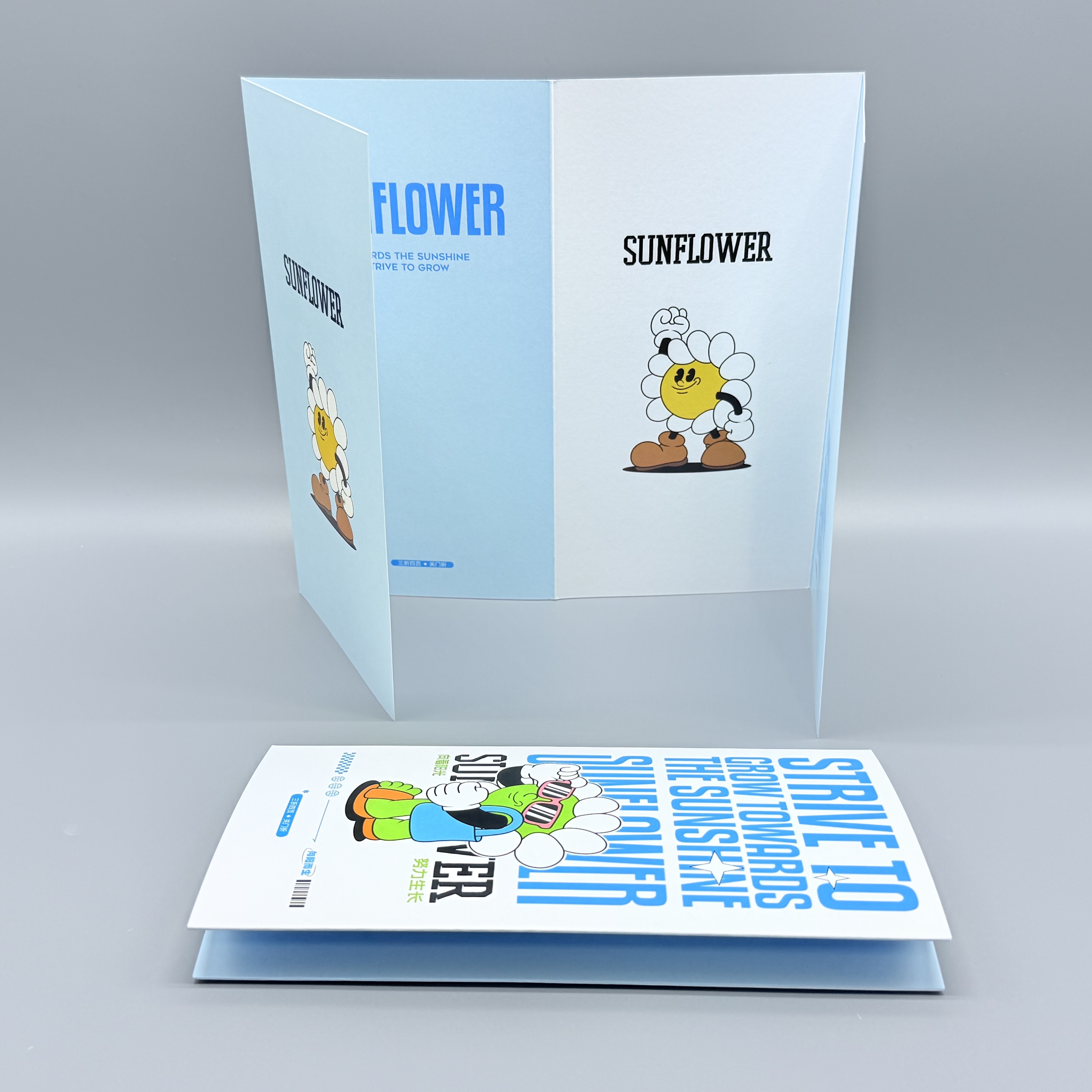 High Quality Customized Brochure Printing Folding Flyer on Paper Cardboard Offset Printing for Packaging at Competitive Price
