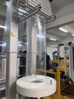 Petite machine d'extrusion de film soufflé automatique LDPE/HDPE/PP avec moteur haute précision pour usage en laboratoire