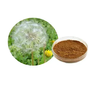 Taraxacum Extract 10:1 Dandelion Extract Powder Flavonoids 10%