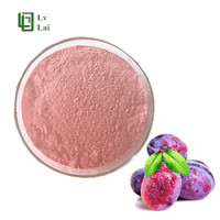 Pur naturel de haute qualité en gros jus de fruits boisson concentré poudre de pruneau