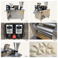 Machine automatique pour la fabrication de raviolis, samosas et empanadas pour usage domestique et restaurants, capacité de 150 kg/h