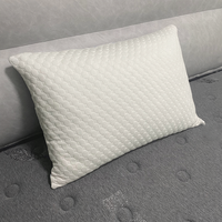 Ensemble de taies d'oreiller en soie haut de gamme personnalisées - Ultra respirantes, respectueuses de la peau, anti-plis, anti-allergie, écologiques pour