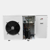 Unit Refrigerasi Frekuensi Tetap Monoblock Dinding 1HP 2HP 3HP dengan Kompresor Scroll R404A Otomatis untuk Ruang Pendingin Mini