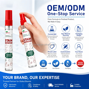 Rayshine - Spray Quitamanchas de Oxígeno de Acción Rápida, Detergente en Seco, Líquido de Limpieza para Ropa y Telas, 12 ml - Product Image 5