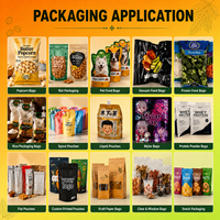 Bolsa de Embalaje de Alimentos Laminada de Plástico con Sellado Térmico, Impresa a Medida, Directo de Fábrica Packfortune, para Papas Fritas