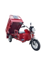 Tricycle de fret électrique 1000W de haute qualité de Chine, modèle USA, avec certification CE, pour la mobilité des personnes âgées, doté d'une batterie et d'une fonction benne
