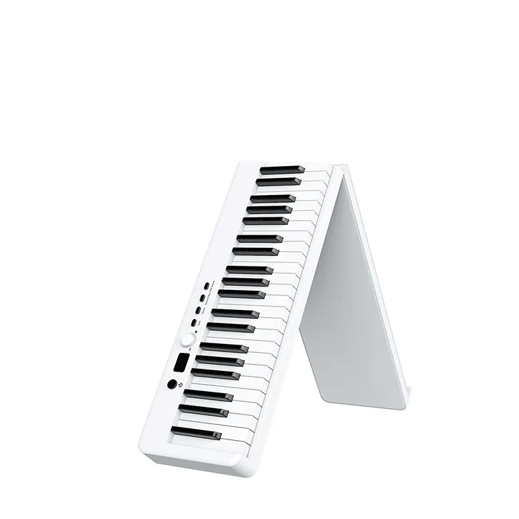 Papan Kunci Roland E-09 61 Tombol Digital Piano Gulung Tangan