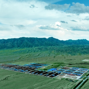 Chi phí thấp gia súc cừu lợn gà gia cầm đổ với cấu trúc thép mạ kẽm khung bò trang trại đổ - Product Image 2