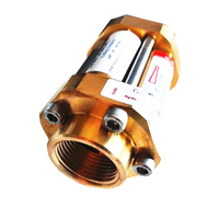 DEMAX GG Coupe-flamme en laiton doré de haute qualité à longue durée de vie pour la soudure oxyacétylène GPL