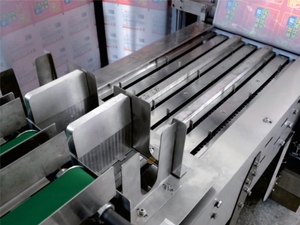 SBF800+NB350 Automation Waist <strong>Patches</strong> Hot <strong>Compress</strong> <strong>Patch</strong> Warm Uterus Paste Production Packing Line - Product Image 6
