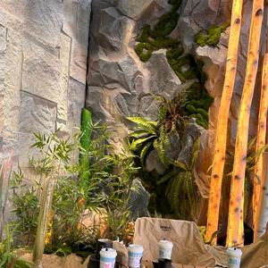 Ánh sáng nhân tạo phát sáng cây bạch dương thân cây betullla thân cây thắp sáng <span class=keywords><strong>LED</strong></span> cây Bạch Dương Nhân Tạo cây phát sáng - Product Image 5