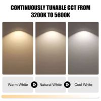 Projecteur LED profilé 220W direct d'usine, blanc réglable CCT 3200K-6500K, DMX512, IP20, pour théâtre, studio TV, salle de conférence, scène