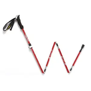 New Product Explosion Modern Novel Design Walking Stick Chair