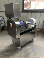 Industriële gemotoriseerde snijmachine van roestvrij staal 304 voor bladgroenten, aardappelen, wortelen, verse gember, taro, kurkuma en komkommers.