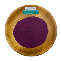 Poudre d'extrait de fruit de qualité alimentaire de haute qualité 25%-100% poudre de baie d'açai lyophilisée organique/poudre de baie du brésil