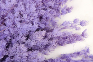 Ramo de flores de helecho <span class=keywords><strong>Ming</strong></span> preservado de alta calidad para ocasiones de decoración del hogar como Pascua Navidad Halloween Back School - Product Image 3