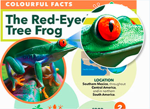 Kit de <span class=keywords><strong>recharge</strong></span> d'<span class=keywords><strong>encre</strong></span> en vrac pour <span class=keywords><strong>imprimante</strong></span> Epson Canon HP Brother, flacon de 500ML, vente directe d'usine, <span class=keywords><strong>encre</strong></span> universelle - Product Image 5