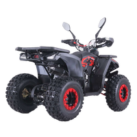 Pièces détachées Tao Motor automatiques 125CC pour Odes Atv Utv Bennche, démarrage électrique, transmission par chaîne, 2 roues motrices, quad électrique 1000w Xxl