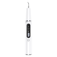 Kit de Nettoyage Dentaire Électrique pour l'Élimination du Tartre, Soin Bucco-Dentaire, Détartreur Dentaire Rechargeable