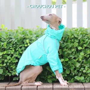 Veste coupe-vent imperméable à séchage rapide <span class=keywords><strong>pour</strong></span> chiens <span class=keywords><strong>de</strong></span> petite et moyenne taille, protection solaire et contre la <span class=keywords><strong>pluie</strong></span>, <span class=keywords><strong>pour</strong></span> bouledogues italiens et whippets - Product Image 2