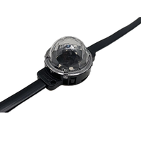 Fuente de luz de punto de 24V RGB Pixel LED para exteriores IP67 impermeable con material de cuerpo de PC DMX512