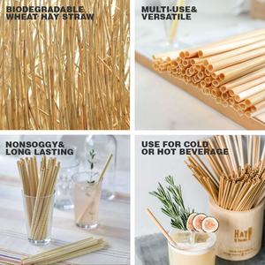 Outil à boire écologique biodégradable compostable tout naturel paille de blé pailles à boire jetables - Product Image 5