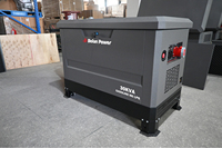 Générateur bi-carburant 15-30 KVA 4 cylindres, essence/gaz naturel, faible bruit, ATS, démarrage automatique, châssis en acier galvanisé, directement de l'usine