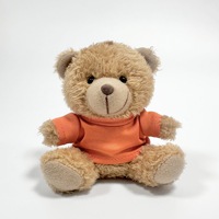Ours en peluche personnalisé pendentif poupée en peluche coloré bébé vêtements porte-clés achat compagnon cadeau logo imprimé jouet