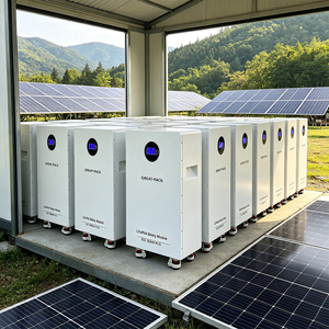 Module de batterie de stockage d'énergie solaire 16 kWh 51,2 V 314 Ah pour usage résidentiel - Product Image 1
