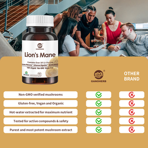 GanoHerb Lions Mane Mushroom Cápsulas Melena de Leon natural y Ganoderma Lucidum para uso en suplementos diarios - Product Image 3
