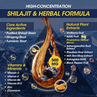 Gouttes de complexe de shilajit Solilan en marque privée, 16 en 1, vitamines extra-fortes, résine de shilajit purifiée, liquide oral, aliment santé pour adultes