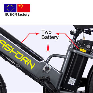 Vélo cargo électrique de 24 pouces, usine européenne, pas de droits de douane, ebike 36V/48V, moteur arrière G2008AS, nouveau modèle de vélo pedelec e - Product Image 3