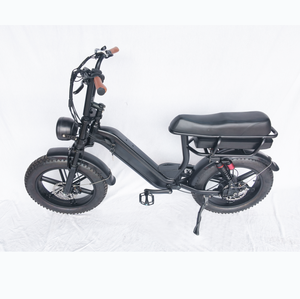 Bicicleta Eléctrica JUNFU Q9 con Batería de Litio, Frenos de Disco Hidráulicos de Aluminio, Motor Trasero de 500W, Largo Alcance, Neumáticos Anchos - Product Image 4