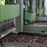 Premium Gedroogde Hele Zwarte Kersen Zoete Bulkverpakking 12 Maanden Houdbaarheid Ningxia Ivy Fabrieksprijs