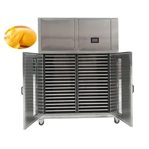 AIM-bomba de calor, bandeja de ahorro de energía, tipo comercial, pasas pequeñas, Mango, máquina de secado de caqui, deshidratador de frutas