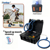 Système de bobines à champ électromagnétique pulsé multifonctionnel avec boucles papillon pour le bien-être équin professionnel PEMF pour chevaux