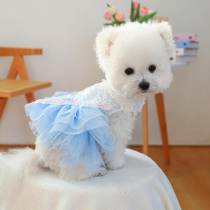 Pet malzemeleri yaz Pet giysi lüks mavi kelebek peri gazlı bez elbise toptan Pet elbiseler <span class=keywords><strong>2025</strong></span> - Product Image 5