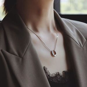 Collar de Acero Inoxidable en Forma de U con Colgante de Herradura Dorada, Joyería Moderna y Versátil para Mujer, Ideal para Regalo, Venta al Por Mayor - Product Image 5