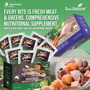 Nourriture humide pour chats et oiseaux (canard, poulet, bœuf, lapin, cailles, poisson) avec citrouille, carotte, igname, algues, goji, champignons, datte, tomate en sachet - Product Image 5